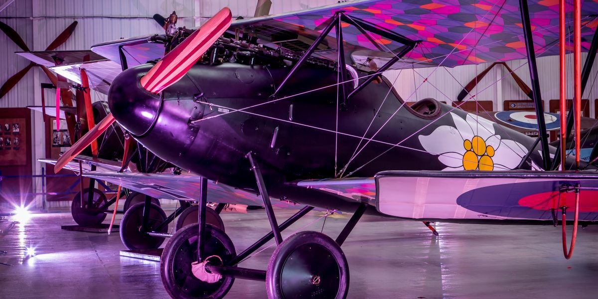 Shuttleworth in Lights 2024 image