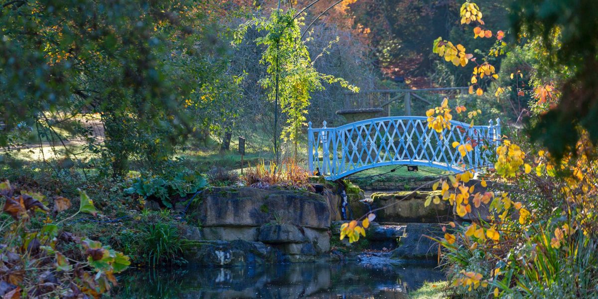 Autumn Walk and Lunch with Head Gardener image