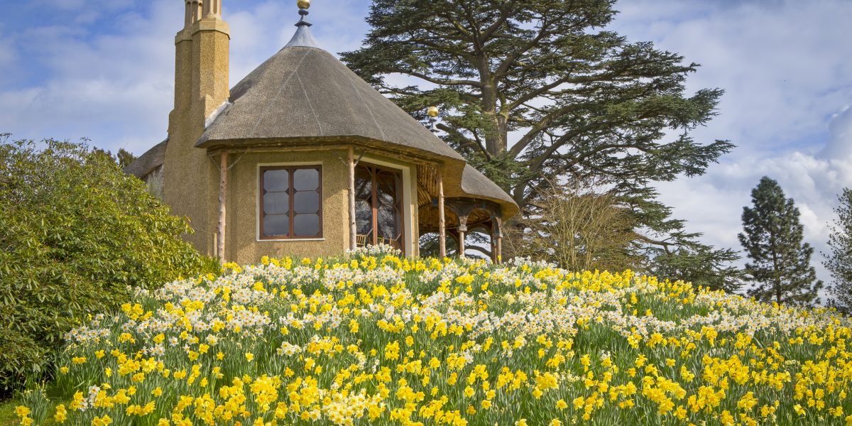 Spring Walk and Lunch with Head Gardener image