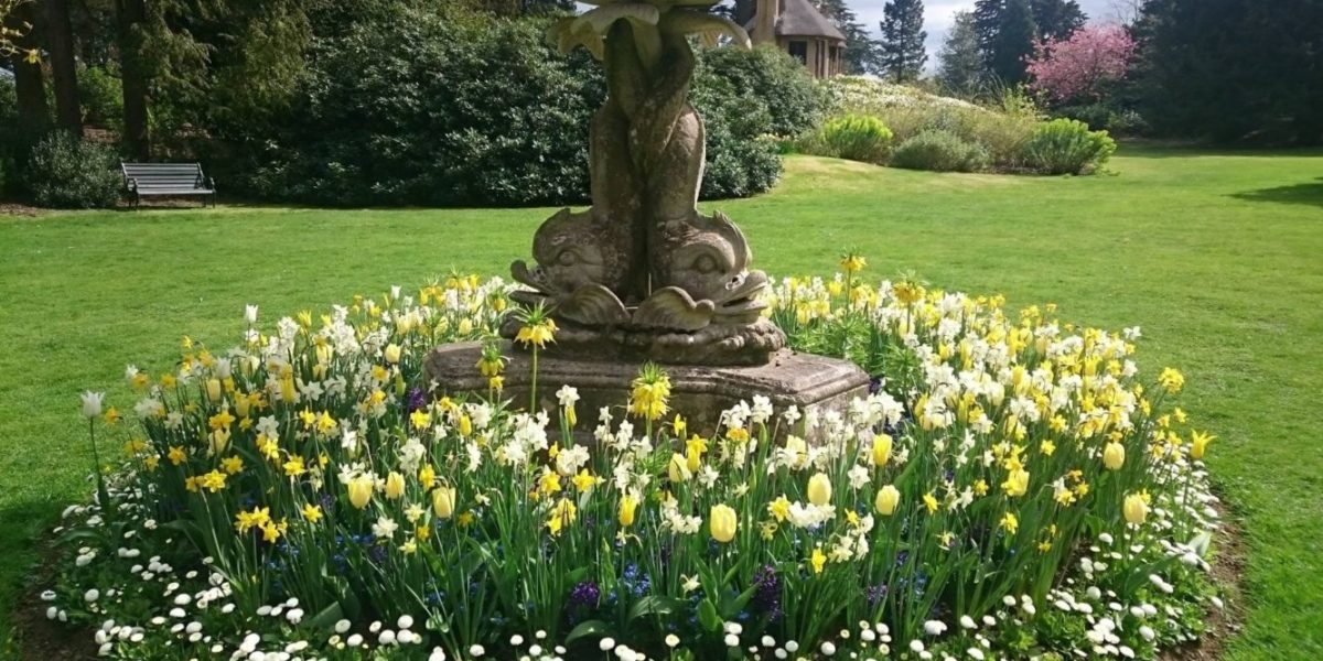 Spring Walk and Lunch with Head Gardener image