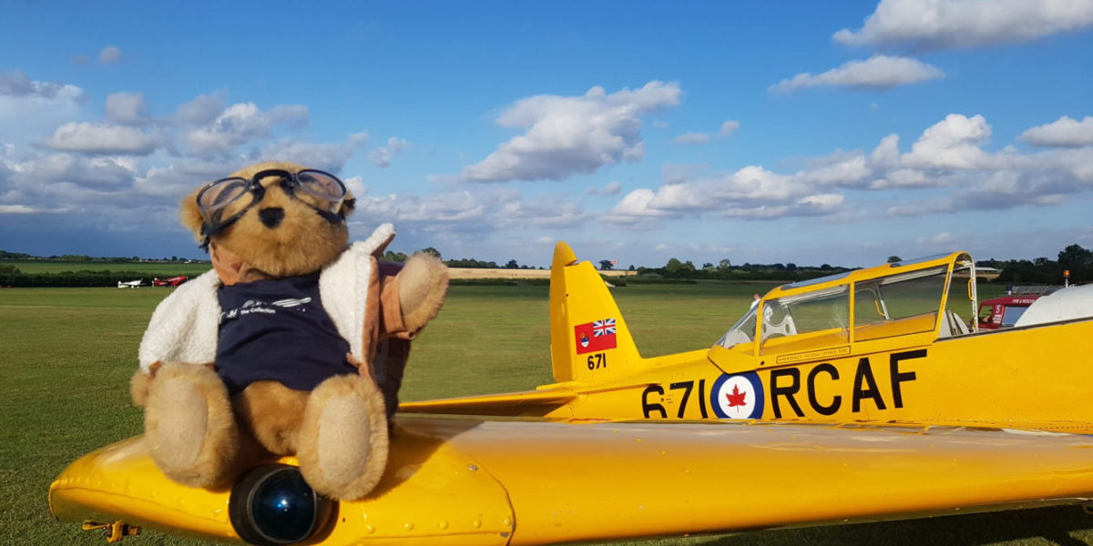 Teddy Bear Fly-In and Picnic image