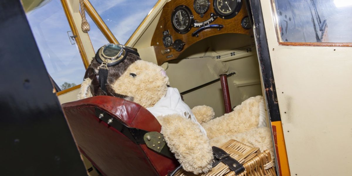 Teddy Bear Fly-In and Picnic image