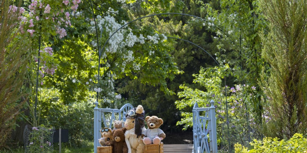 Teddy Bear Fly-In and Picnic image