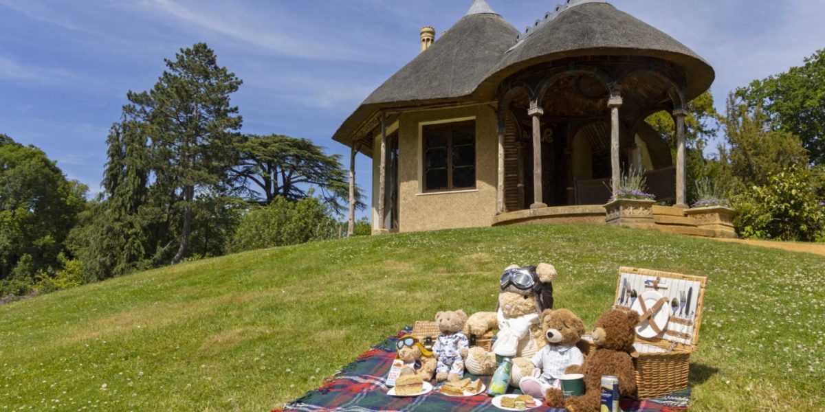 Teddy Bear Fly-In and Picnic image