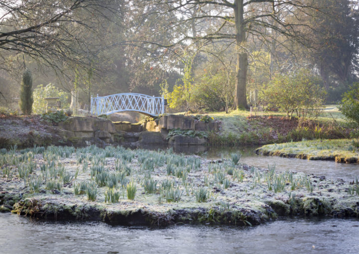 Winter Walk and Lunch with Head Gardener image