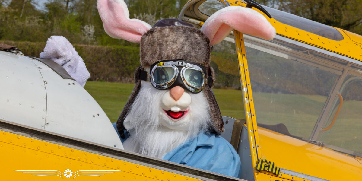 Easter Bunny Fly In and Egg Hunt 2024 image