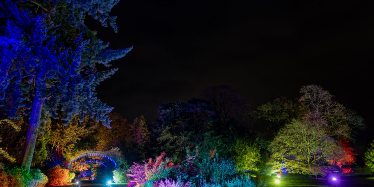 Shuttleworth in Lights 2025 image
