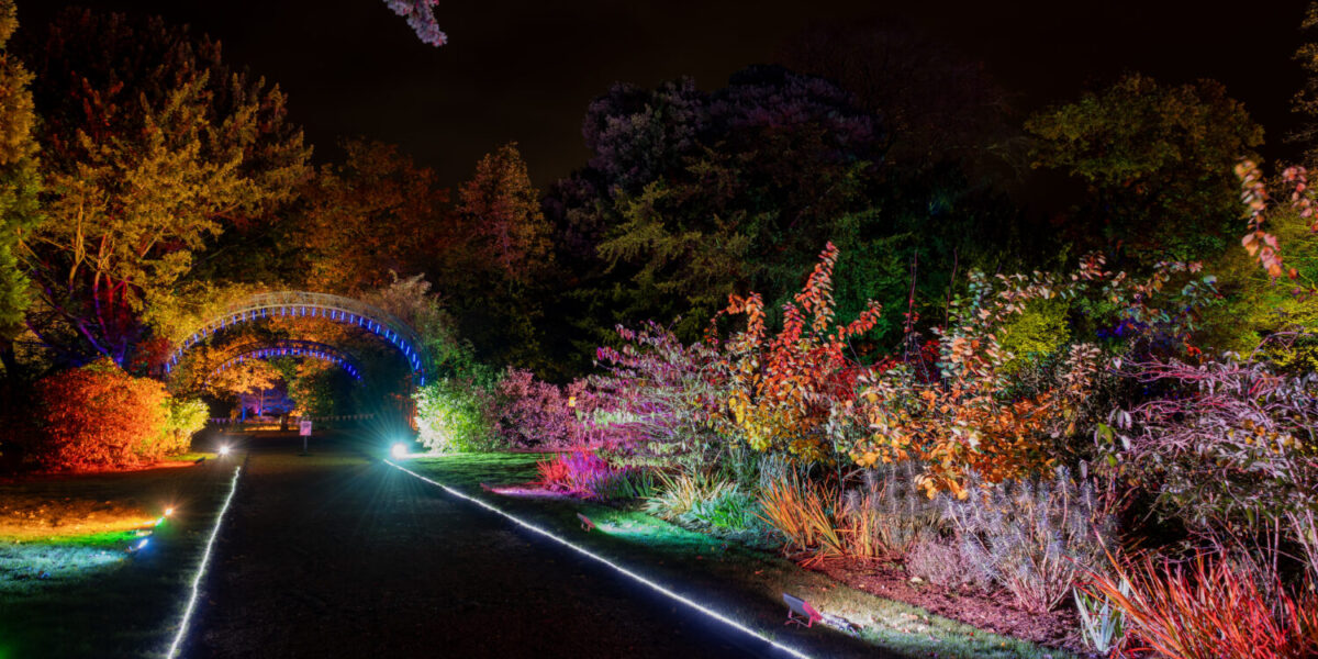 Shuttleworth in Lights 2025 image
