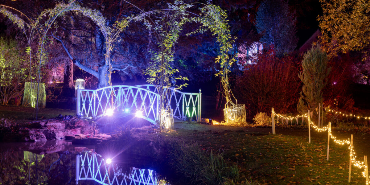 Shuttleworth in Lights 2025 image