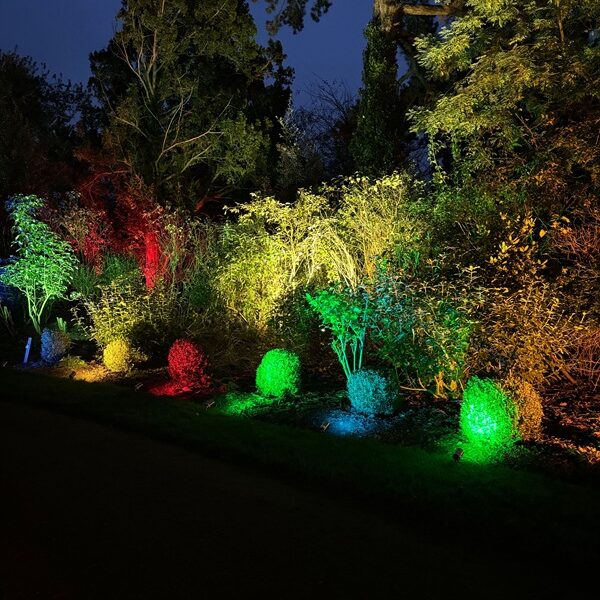 Shuttleworth in Lights 2025 image